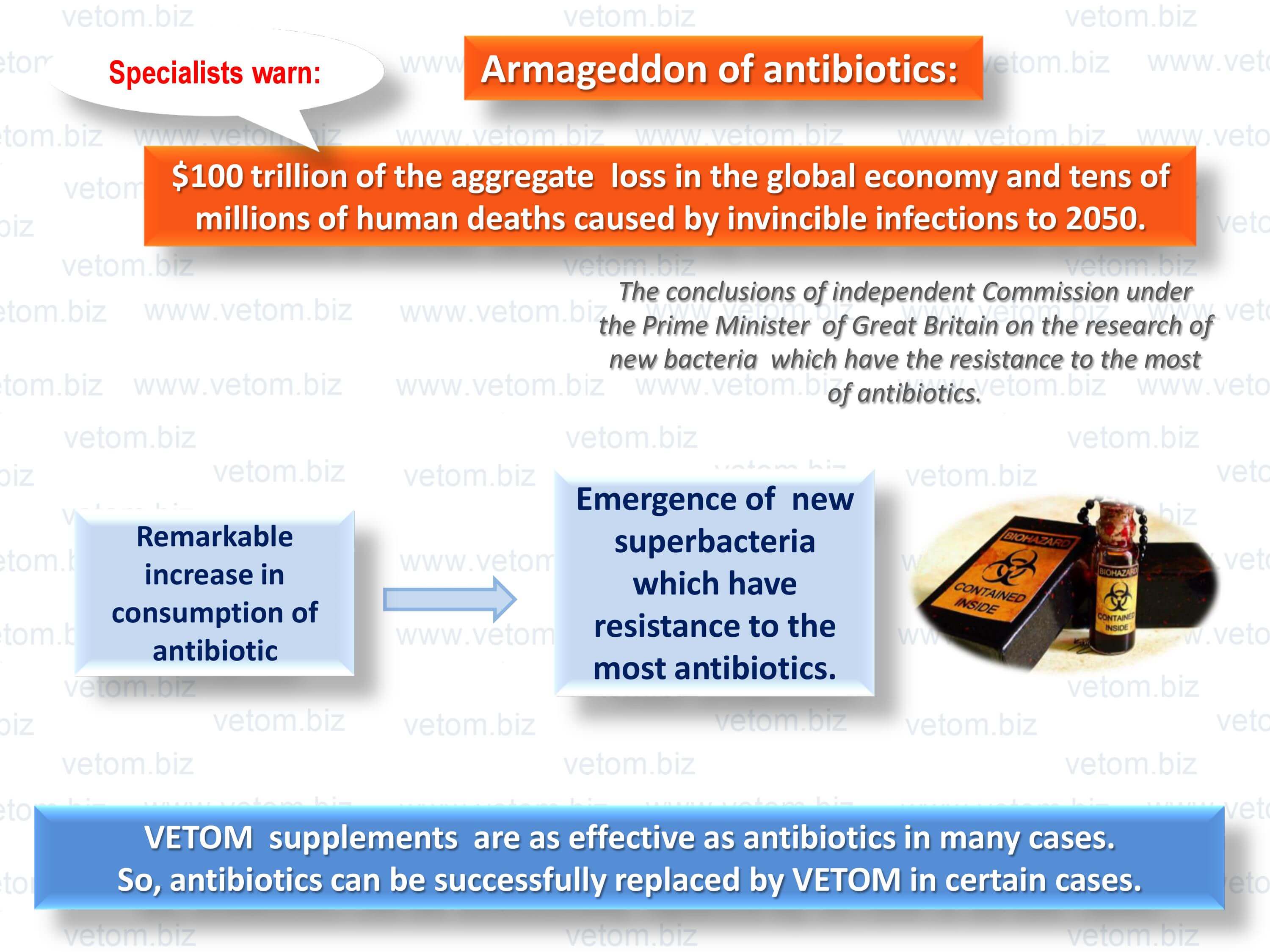 Vetom supplements are as effective as antibiotics in many cases. So, antibiotics can be successfully replaced by Vetom in certain cases